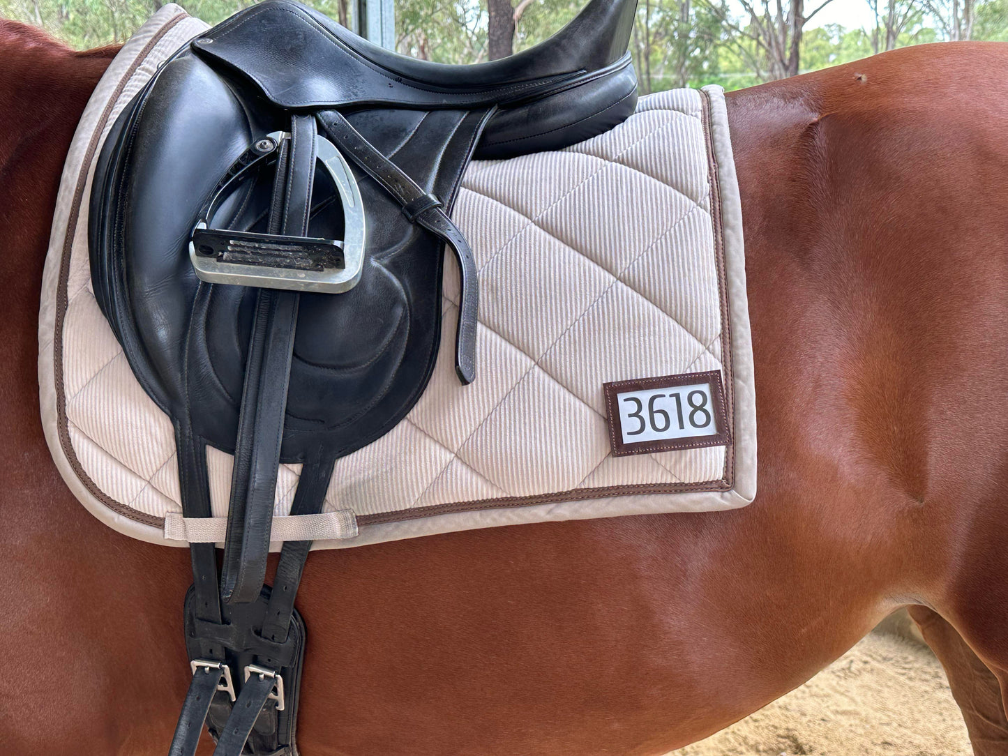 Dressage Numbers - Leather Bound