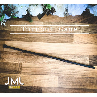 Turnout Cane